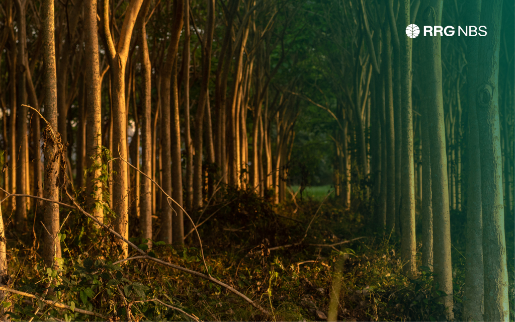 Natural Capital